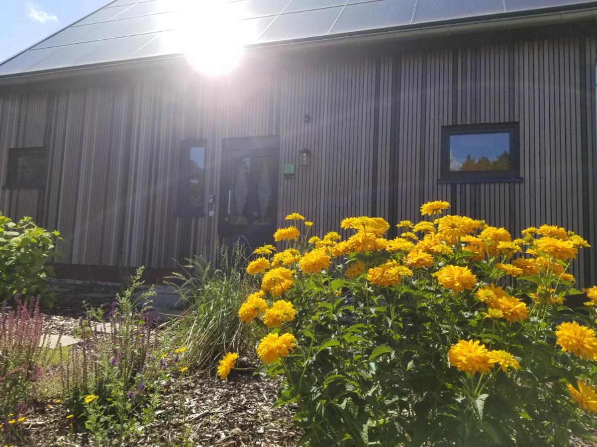 Haus Am See Rieste Екстер'єр фото